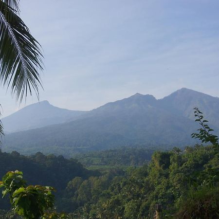 Horizon Senaru Villa Bagian luar foto