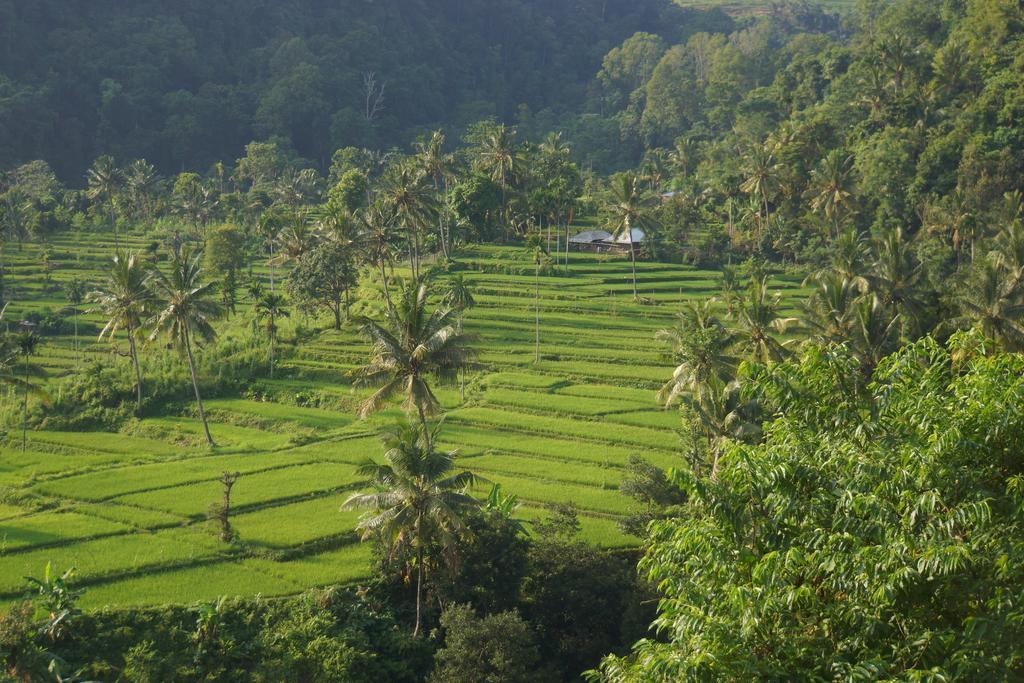 Horizon Senaru Villa Bagian luar foto