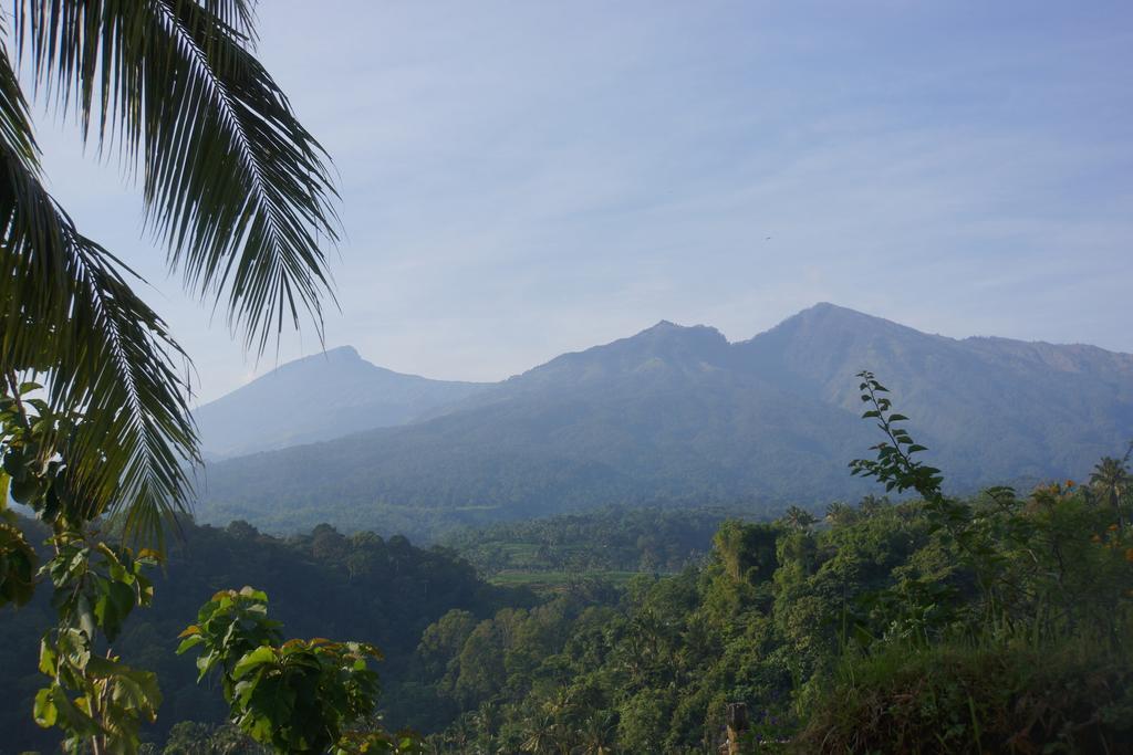 Horizon Senaru Villa Bagian luar foto